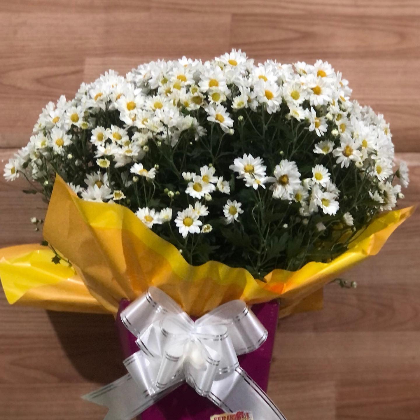Flores e presentes publicados pela Serikawa.