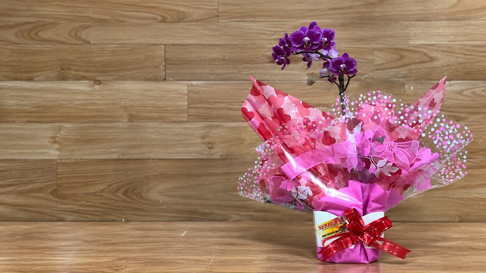 Orquídea da Serikawa com cenário ampliado